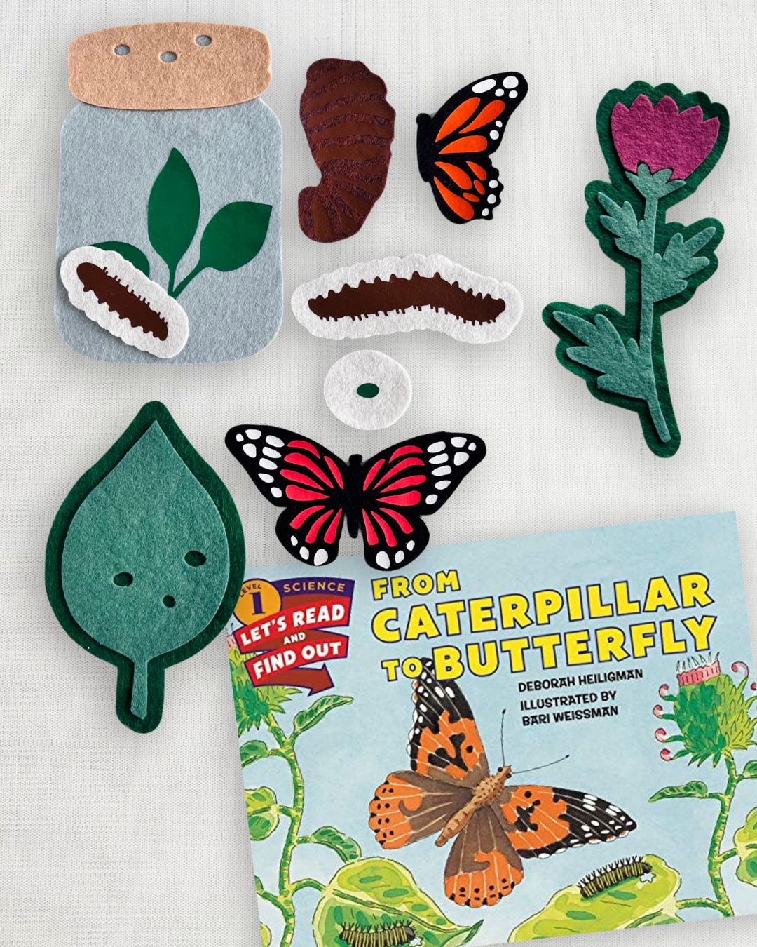 From Caterpillar to Butterfly