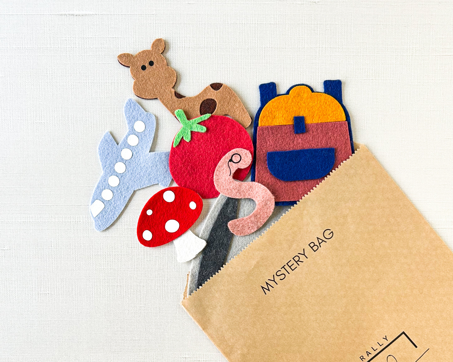 Mystery Bag