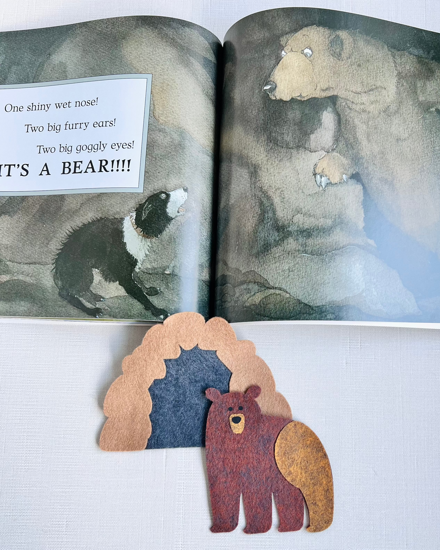 We’re Going on a Bear Hunt