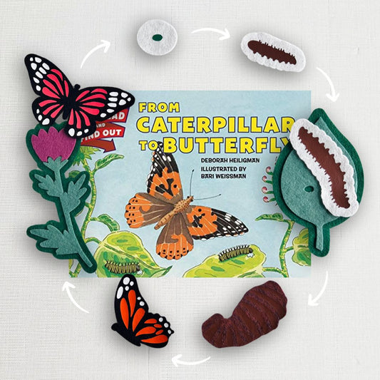 From Caterpillar to Butterfly