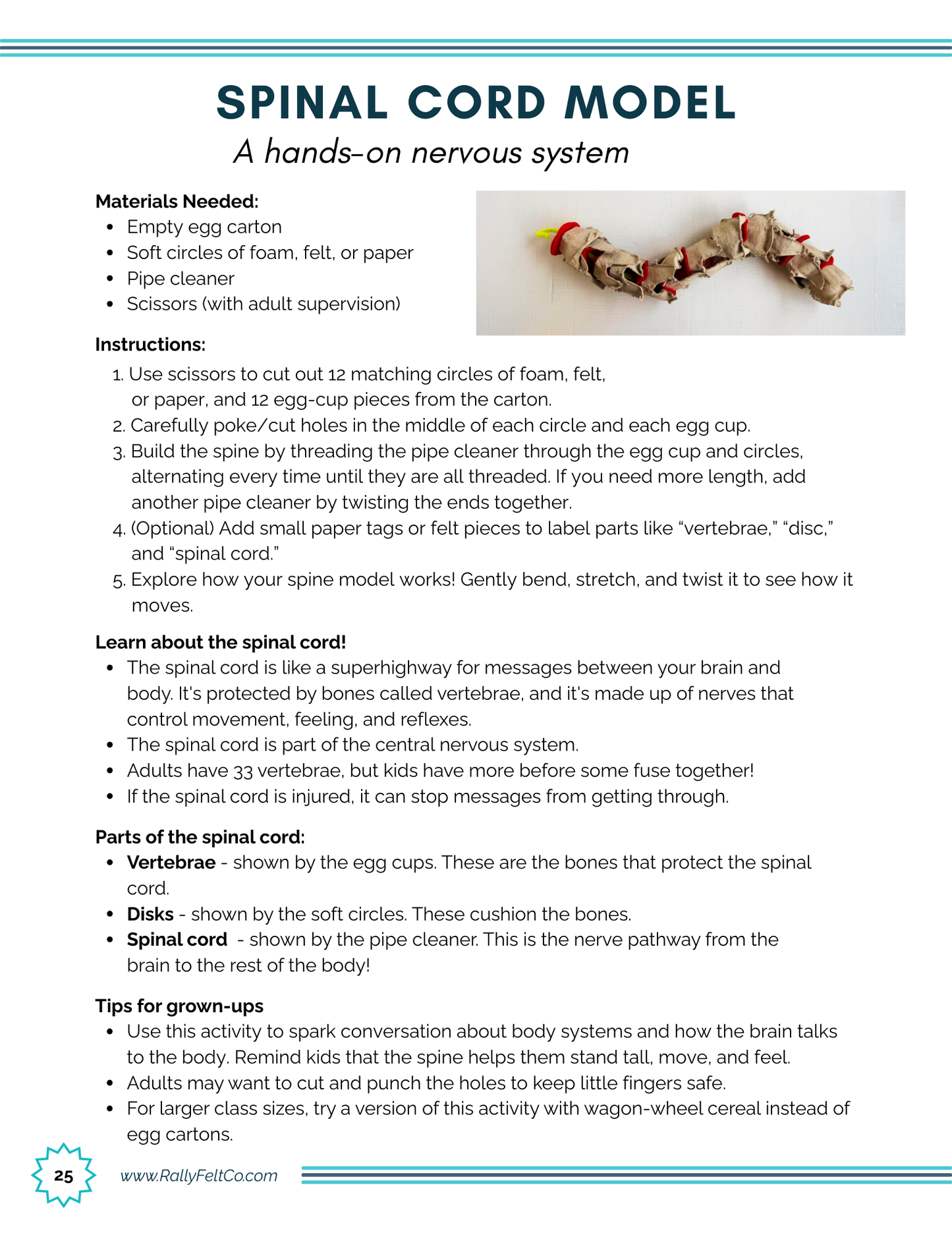 Learning Unit: Me and My Amazing Body (Digital Download)
