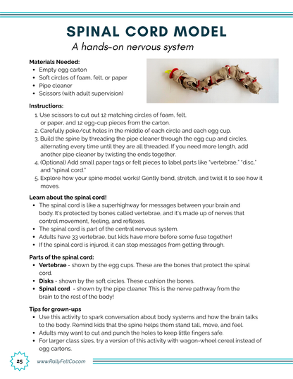 Learning Unit: Me and My Amazing Body (Digital Download)